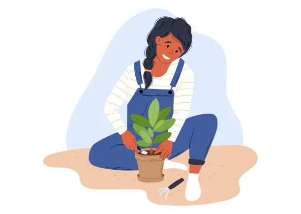 Vector illustration of Cartoon woman growing plants. Transplanting ficus in a pot. Vector isolated flat illustration.