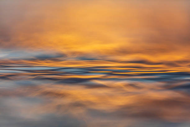 istock Abstract surface tension and natural patterns on water with golden light 1496744171