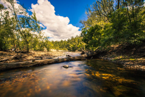 Freshwater stream flowing over rocks in tranquil forest scene. Long exposure.