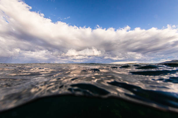 istock Ocean surface ruffled by swell with incoming storm 1496745586