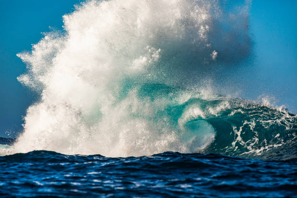 istock Close up of a large blue powerful ocean wave breaking dramatically on reef with clear sunny weather 1496748084