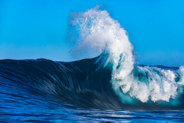 istock Close up of a large blue powerful ocean wave breaking dramatically on reef with clear sunny weather 1496748123