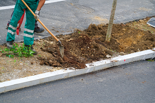 A worker with a shovel is doing the final work on planting trees on Road Construction Site as decorative final works. It is in Ljubljana, Slovenia.
