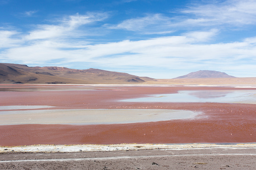 A nice view of lagoon landscape in Bolivia