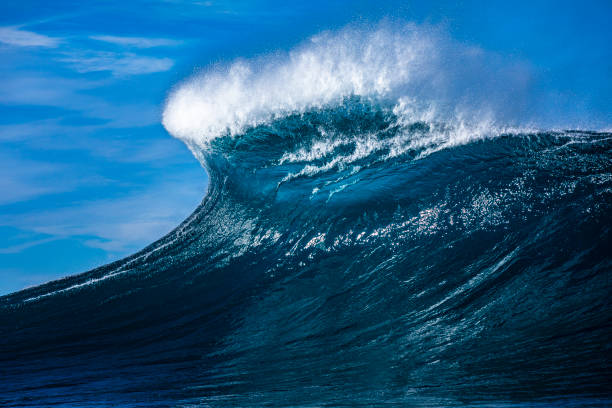 istock Large blue powerful ocean wave breaking dramatically on reef with clear sunny weather 1496750051