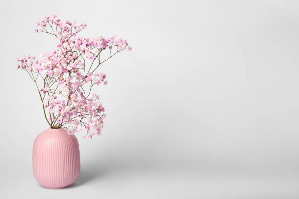 白い背景にピンクの花瓶に美しいカスミソウの花