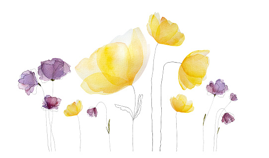 Watercolor spring summer flowers blossom in yellow and violet colors. Tender floral bouquet for decoration and design