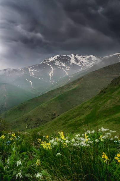 istock Spring in mountains of  Armenia , Maymekh Mountain 1496755689