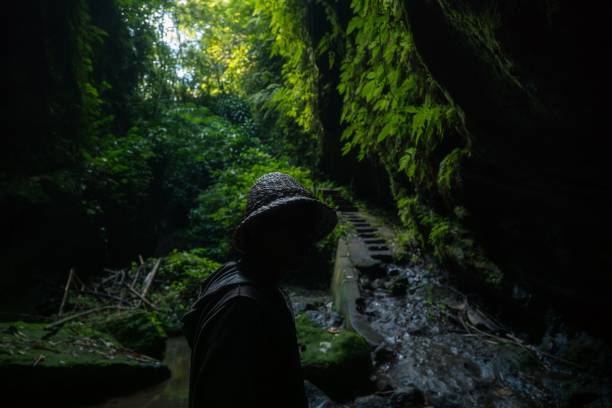 istock a person is looking at the trail through the woods with waterfall flowing down it 1496759455