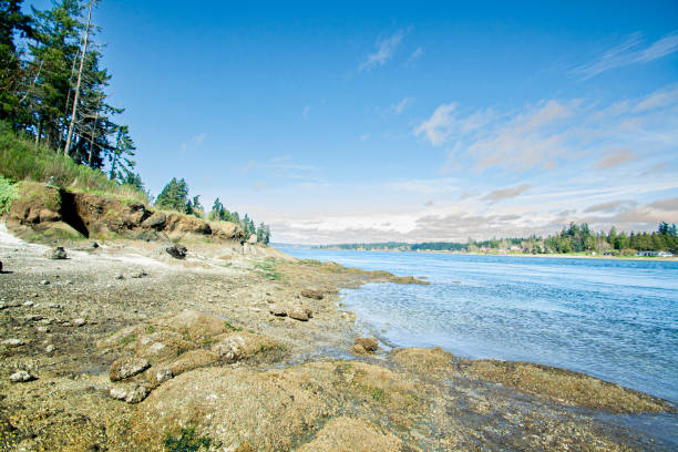 Juan De Fuca at Deception Pass