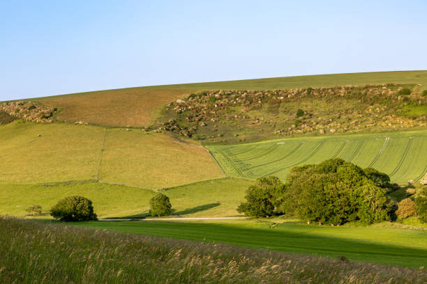 istock Green fields in the South Downs with a blue sky overhead 1496762858
