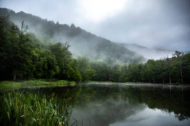 istock Foggy lake view with trees.Armenia 1496763211