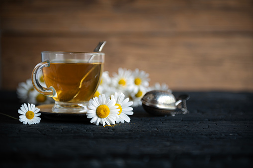 Camomile herbal tea with flower head on wooden dark desk