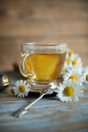 Camomile herbal tea with flower head on wooden dark desk