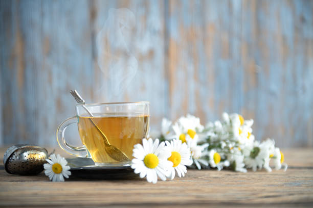 Camomile herbal tea with flower head on wooden dark desk