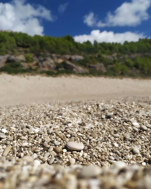 istock the ground is covered with various small rocks and pebbles, as seen from the beach 1496767847