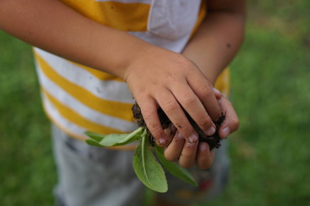 istock concept of saving the world boy planting trees 1496769231
