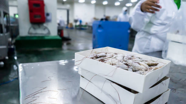 istock Frozen white shrimp in a production plant 1496775069