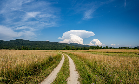 Country road with Cumulus clouds on horizon