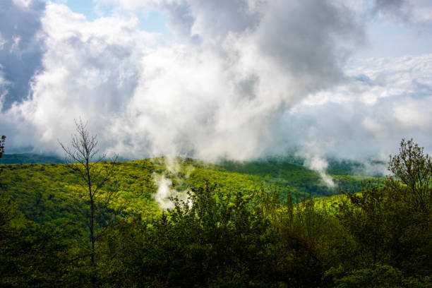 Blue Ridge Parkway 2 Low hanging clouds roll over the Appalachian mountaintops along the Blue Ridge Parkway in North Carolina. robert michaud stock pictures, royalty-free photos & images