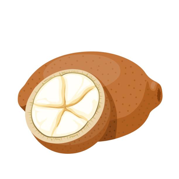 cupuacu - theobroma ilustrasi stok