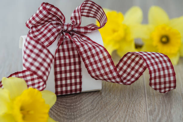 Close up of white gift box with big checkered ribbon placed next to yellow narcissus for a surprise present.