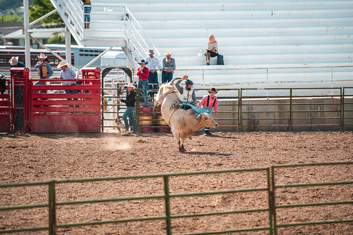 Cowboy ridding a bucking bull at a local rodeo event in Utah.