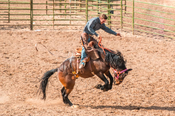 istock Cowboy At Saddle Bronc Rodeo Competition 1496785090