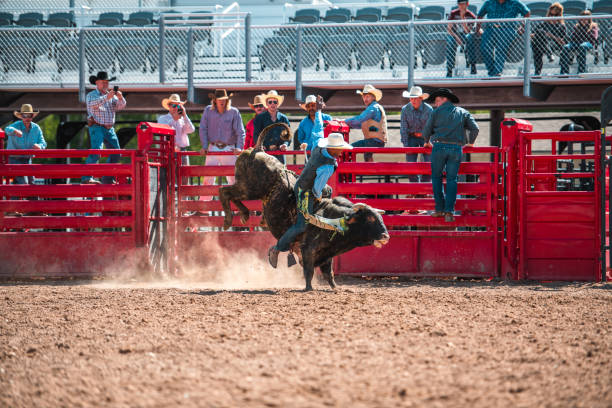 istock Cowboy Ridding A Bucking Bull 1496785091
