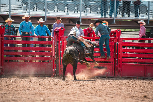 istock Cowboy Ridding A Bucking Bull 1496785102