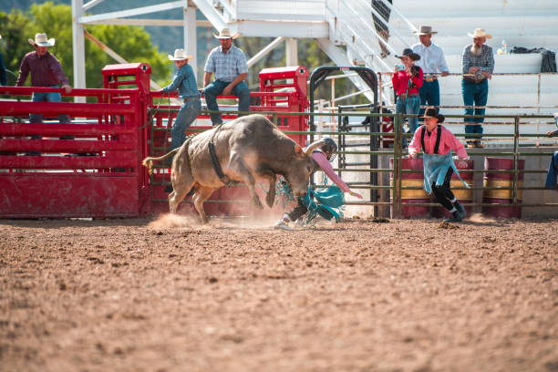 istock Cowboy Thrown Off A Bucking Bull 1496785106