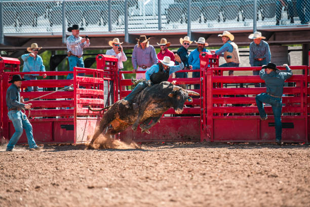 istock Cowboy Ridding A Bucking Bull 1496785150