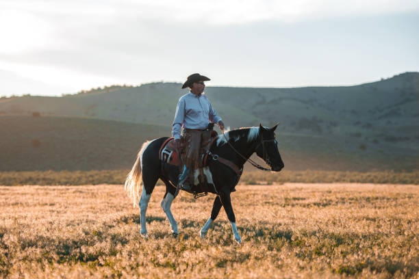 istock Modern Cowboy Riding a Black Horse 1496785159