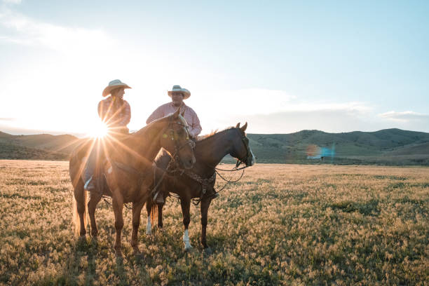 istock Romantic Couple Horseback Riding during the Sunset 1496785168