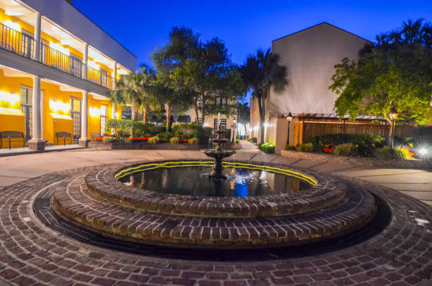 istock A Walk in Historic Charleston 1496786886