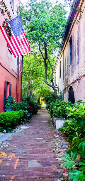istock A Walk in Historic Charleston - Public Alley 1496786966