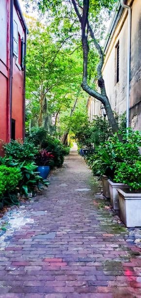 istock A Walk in Historic Charleston 1496786971
