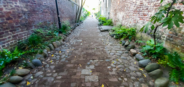 Scenes from a Walk through Charleston, South Carolina in May, public alley