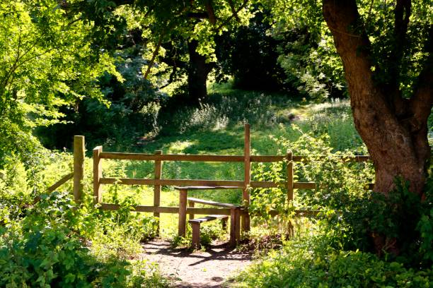 istock A stile in the English countryside 1496788476