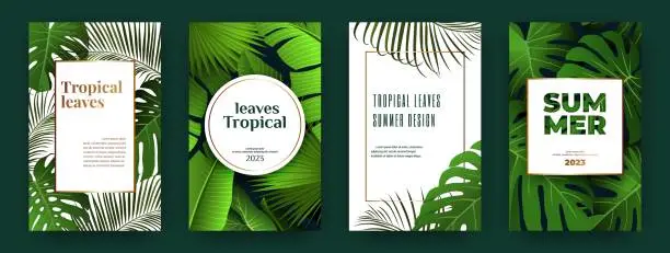 Vector illustration of Tropic leaf covers, banana and monstera leaves, exotic posters. Summer fashion organic certificate , green flyer or notebook cover. Floral frame. 3d natural elements. Vector design template