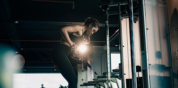 Sporty woman exercising on multistation at gym for arm and shoulders muscles. Fitness exercising in gym.