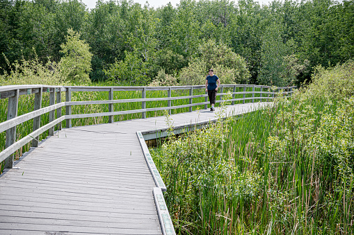 A mixed race woman walks in awe along the boardwalk, surrounded by the breathtaking wetlands of Manitoba. The serenity of nature captivates her as she embraces the beauty of her surroundings
