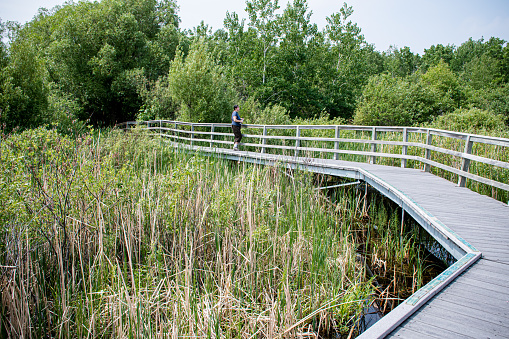 A mixed race woman walks in awe along the boardwalk, surrounded by the breathtaking wetlands of Manitoba. The serenity of nature captivates her as she embraces the beauty of her surroundings