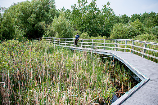 A mixed race woman walks in awe along the boardwalk, surrounded by the breathtaking wetlands of Manitoba. The serenity of nature captivates her as she embraces the beauty of her surroundings