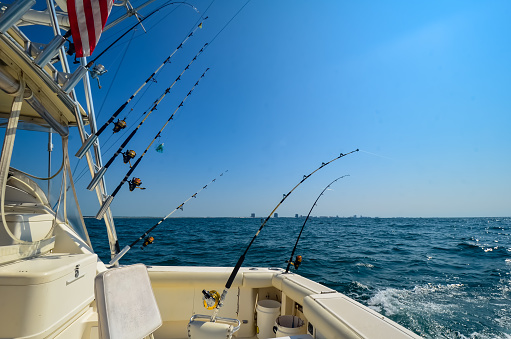 Saltwater fishing trip, Gulf of Mexico, Perdido Pass, Orange Beach, Alabama