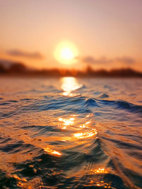 istock Sea wave splash, sunset blurred bokeh background, ocean water surf ripple texture, sunrise soft focus, tropical island beach dawn, sundown orange sun shine reflection, summer holiday, vacation, travel 1496801775