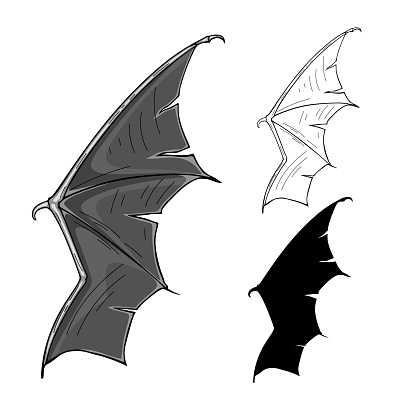 Hand drawn pencil style wing. Bat, vampire silhouette collection in line art.
