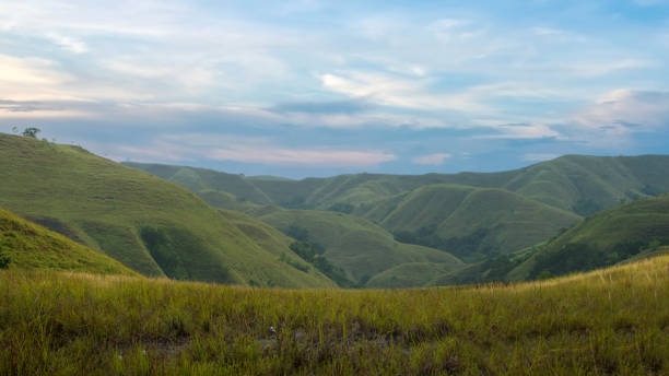 istock Green hills with a landscape view 1496807329
