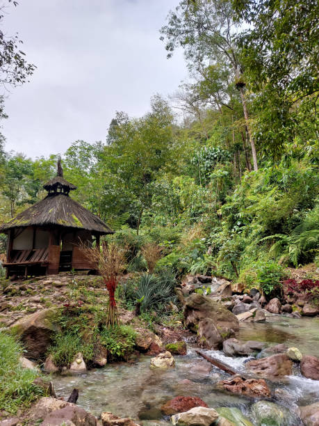 istock Palm fiber house in Mandailing 1496807625