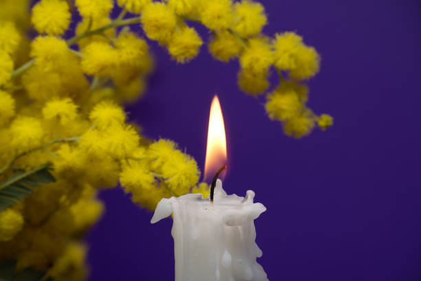 istock Candle flame and yellow mimosa flowers over blue 1496807762